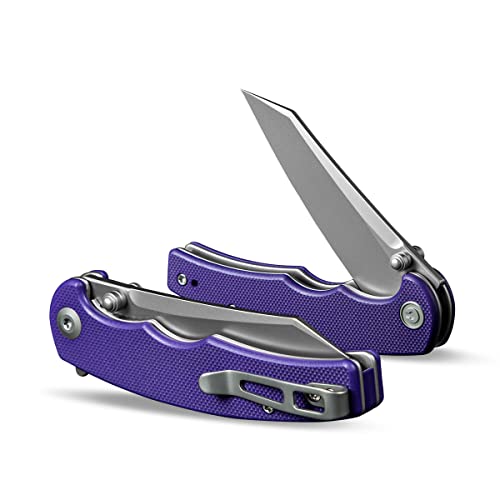 CIVIVI P87 Folder EDC Knife, Kaila Cumings 2.9-in Nitro-V Silver Bead Blasted Blade Reverse Tanto, G10 Handle with A Thumb Stud Liner Lock Folding Pocket Knife for Everyday Carry (Purple)