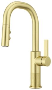 pfister gt572-mtbg kitchen faucets and accessories, brushed gold