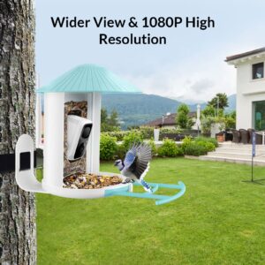 NETVUE Birdfy Lite - Smart Bird Feeder with Camera, Bird Watching Camera, Auto Capture Bird Videos & Motion Detection, Wireless Camera Ideal Gift for Bird Lover