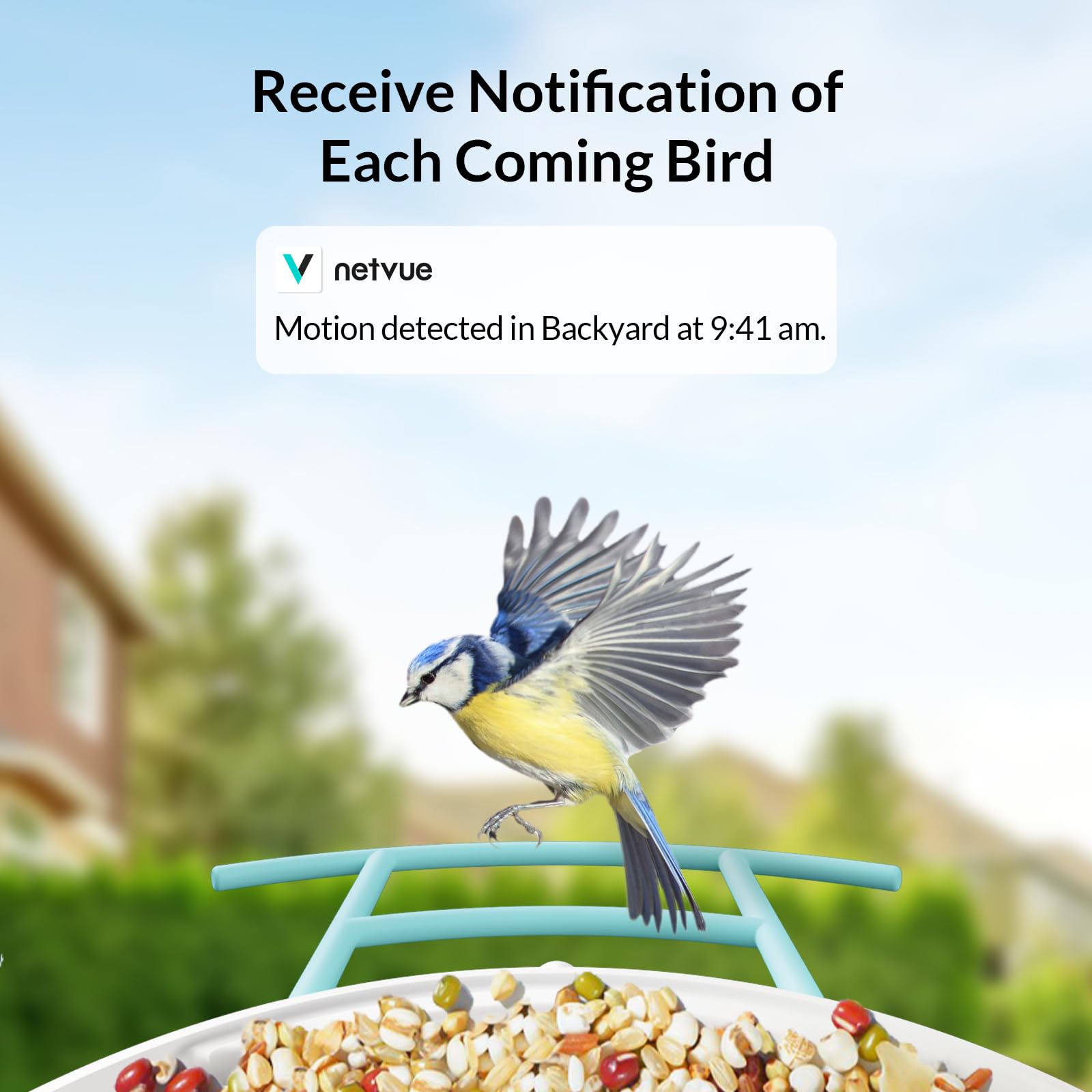 NETVUE Birdfy Lite - Smart Bird Feeder with Camera, Bird Watching Camera, Auto Capture Bird Videos & Motion Detection, Wireless Camera Ideal Gift for Bird Lover