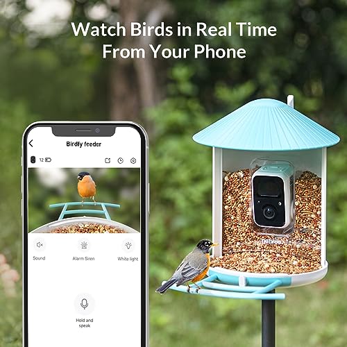 NETVUE Birdfy Lite - Smart Bird Watching Feeder with Auto Capture Videos & Motion Detection, Wireless Camera Ideal Gift for Bird Lovers