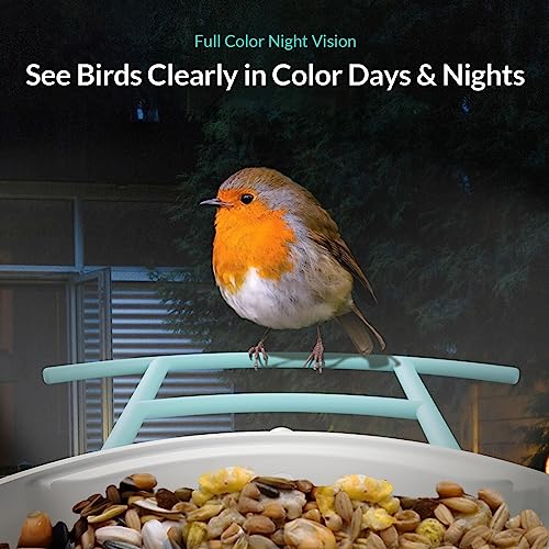 NETVUE Birdfy Lite - Smart Bird Watching Feeder with Auto Capture Videos & Motion Detection, Wireless Camera Ideal Gift for Bird Lovers