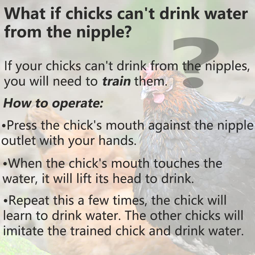 VandanCoop Chicken Waterer Nipples Automatic Poultry Watering Nipples (35)