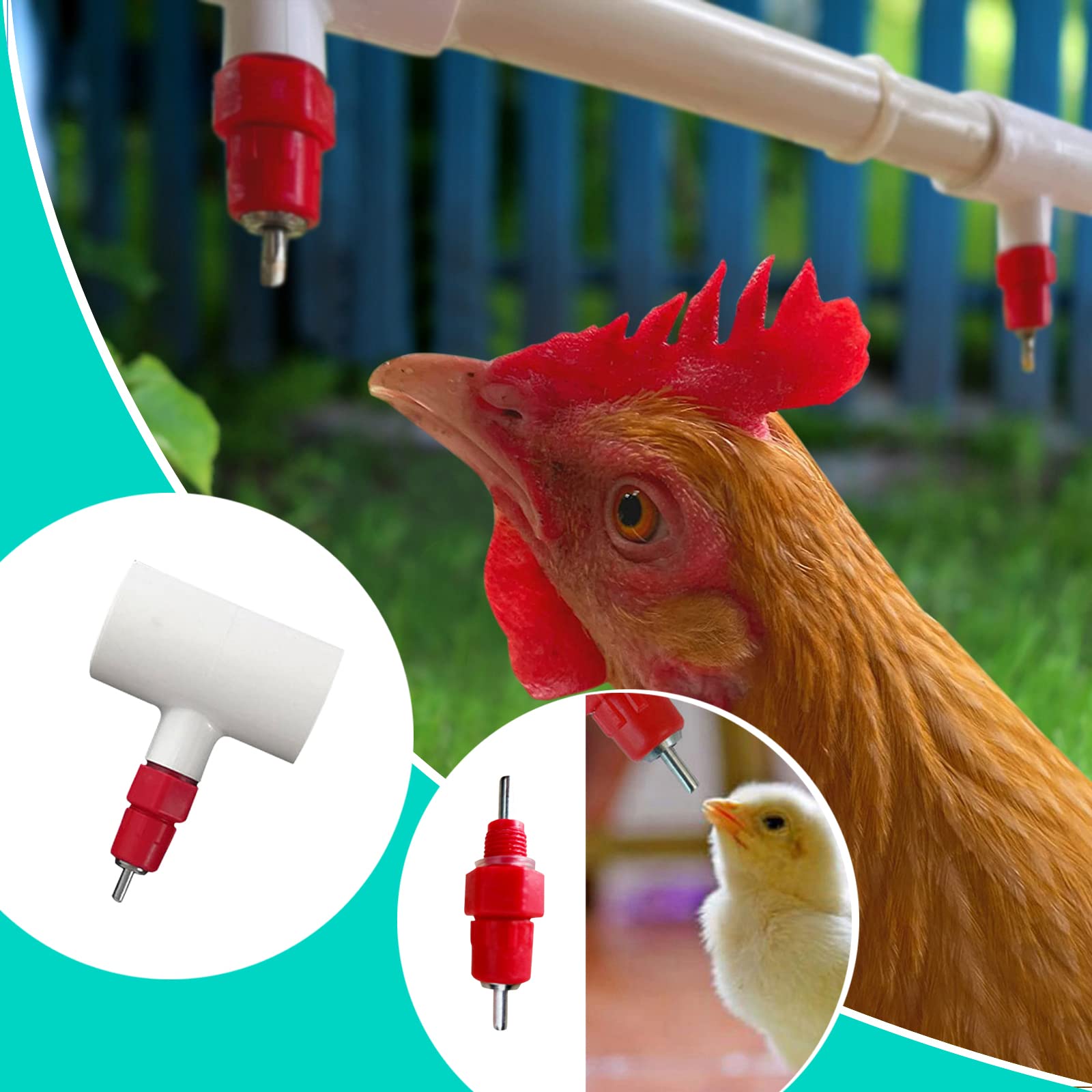 VandanCoop Chicken Waterer Nipples Automatic Poultry Watering Nipples (35)