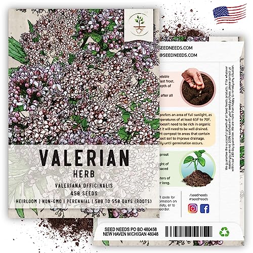 Seed Needs, Valerian Seeds - 450 Heirloom Seeds for Planting Valeriana officinalis - Medicinal Herb for Anxiety & Migraines, Non-GMO & Untreated (2 Packs)