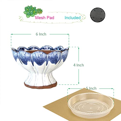 Summer Impressions 6 Inch Glazed Terracotta Succulent Planter with Drainage Hole Clear Plant Saucer Cactus Planter Pot Bonsai Pot Clay Pot Flower Pot (Lotus Blue with Saucer)