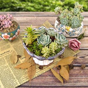 Summer Impressions 6 Inch Glazed Terracotta Succulent Planter with Drainage Hole Clear Plant Saucer Cactus Planter Pot Bonsai Pot Clay Pot Flower Pot (Lotus Blue with Saucer)