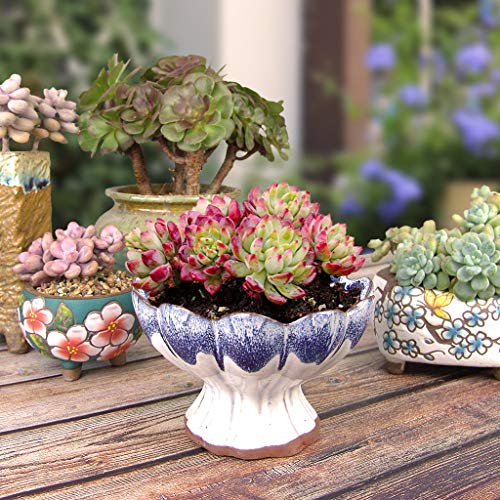 Summer Impressions 6 Inch Glazed Terracotta Succulent Planter with Drainage Hole Clear Plant Saucer Cactus Planter Pot Bonsai Pot Clay Pot Flower Pot (Lotus Blue with Saucer)