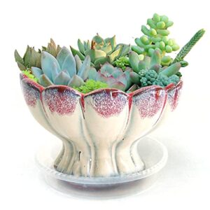 summer impressions 6 inch glazed terracotta succulent planter with drainage hole clear plant saucer cactus planter pot bonsai pot clay pot flower pot (lotus red with saucer)