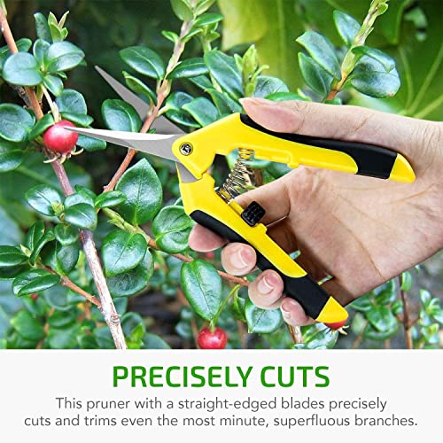 iPower 4-Pack 6.5 Inch Gardening Hand Pruner Pruning Shears Trimming Scissors with Straight Stainless Steel Blades for Bonsai, Herb, Bud, Hedge, Yellow