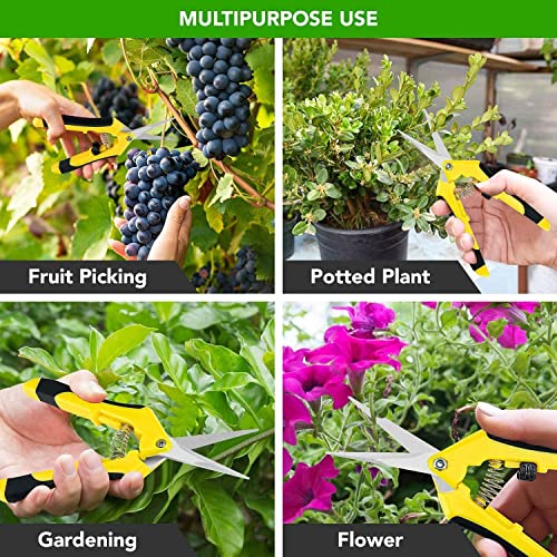 iPower 4-Pack 6.5 Inch Gardening Hand Pruner Pruning Shears Trimming Scissors with Straight Stainless Steel Blades for Bonsai, Herb, Bud, Hedge, Yellow