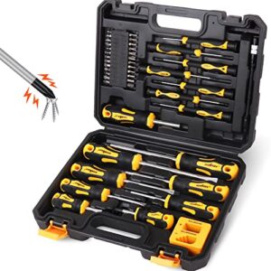horusdy 43-piece screwdriver set, include phillips, slotted, pozidriv, hex, torx, and magnetizer demagnetizer precision screwdriver set for tools for men