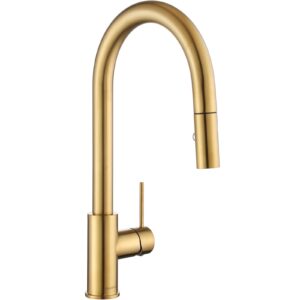 aguastella as60bg brushed gold kitchen sink faucet with pull down sprayer single handle
