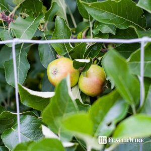 Fencer Wire 5 ft. x 100 ft. Galvanized Welded Wire Fence with 4" x 4" Square Opening, 16 Gauge Wire Mesh Fence Roll for Vegetables Garden Netting Chicken Coop Animal Enclosure