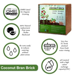 Hodiax Premium Coco Coir Brick, 11Lbs High Nutrinent Compressed Coconut Soil, OMRI 100% Organic Low EC & PH Balanced Potting Soil for All Plants Gardening, Hydroponics and Reptile Substrate (5KG)