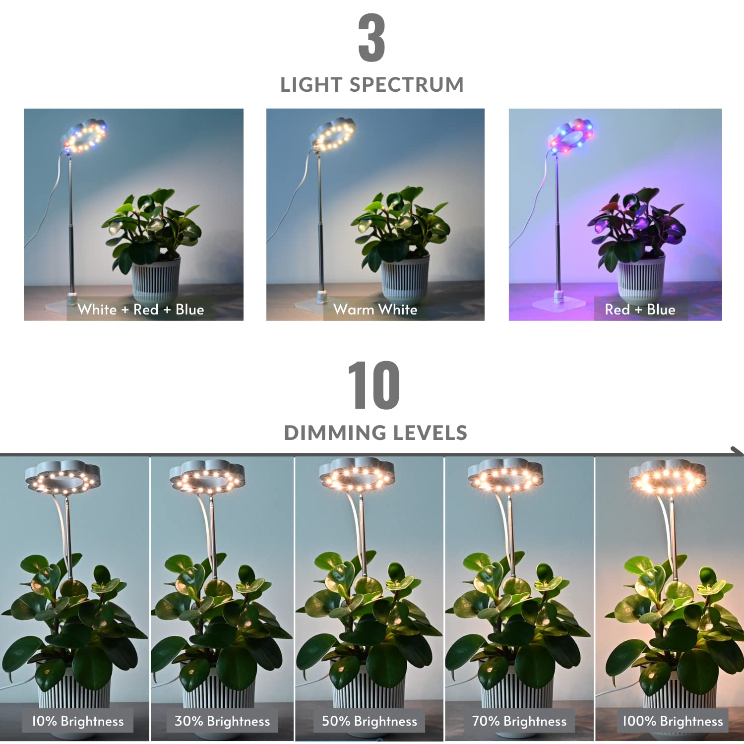 UEHICT Plant Grow Lights for Indoor Plants - Full Spectrum Mini Plant Grow Lamps with Stand, High-Efficiency LEDs, Height Adjustable, Auto Timer, Table Top UV Plant Light for Indoor Growing, Seedlings