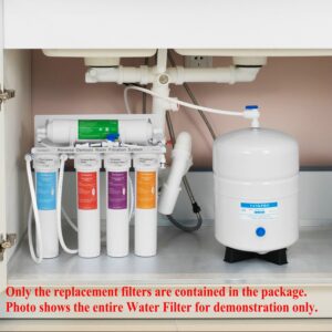 75GPD Reverse Osmosis RO Membrane with Quick Change Housing - 1/4" Inlet/Outlet (Fit with Geekpure RO-TW) (2)