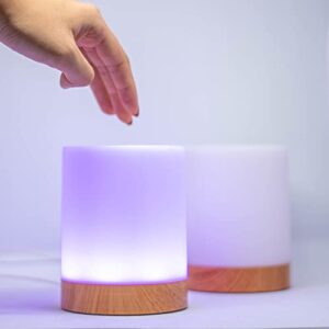 Friendship Lamps by LuvLink | Modern Long Distance Lamp - Send colors on the go, create a secret code, unlimited colors and connections (Set of Two)