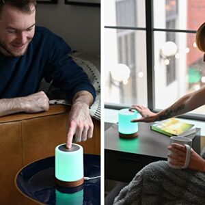 Friendship Lamps by LuvLink | Modern Long Distance Lamp - Send colors on the go, create a secret code, unlimited colors and connections (Set of Two)