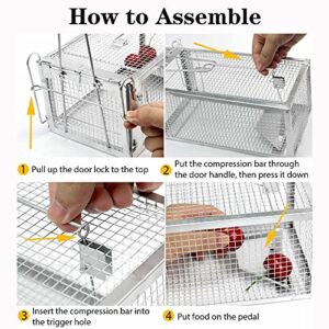 2-Pack Humane Rat Cage Traps, Live Mouse Rat Traps Catch and Release for Indoor Outdoor, Small Animals Traps, Easy to use, Pet Safe ( 10.6"x 5.5"x 4.5" )