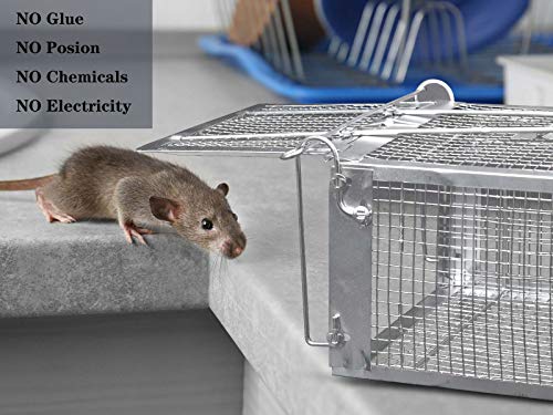 2-Pack Humane Rat Cage Traps, Live Mouse Rat Traps Catch and Release for Indoor Outdoor, Small Animals Traps, Easy to use, Pet Safe ( 10.6"x 5.5"x 4.5" )