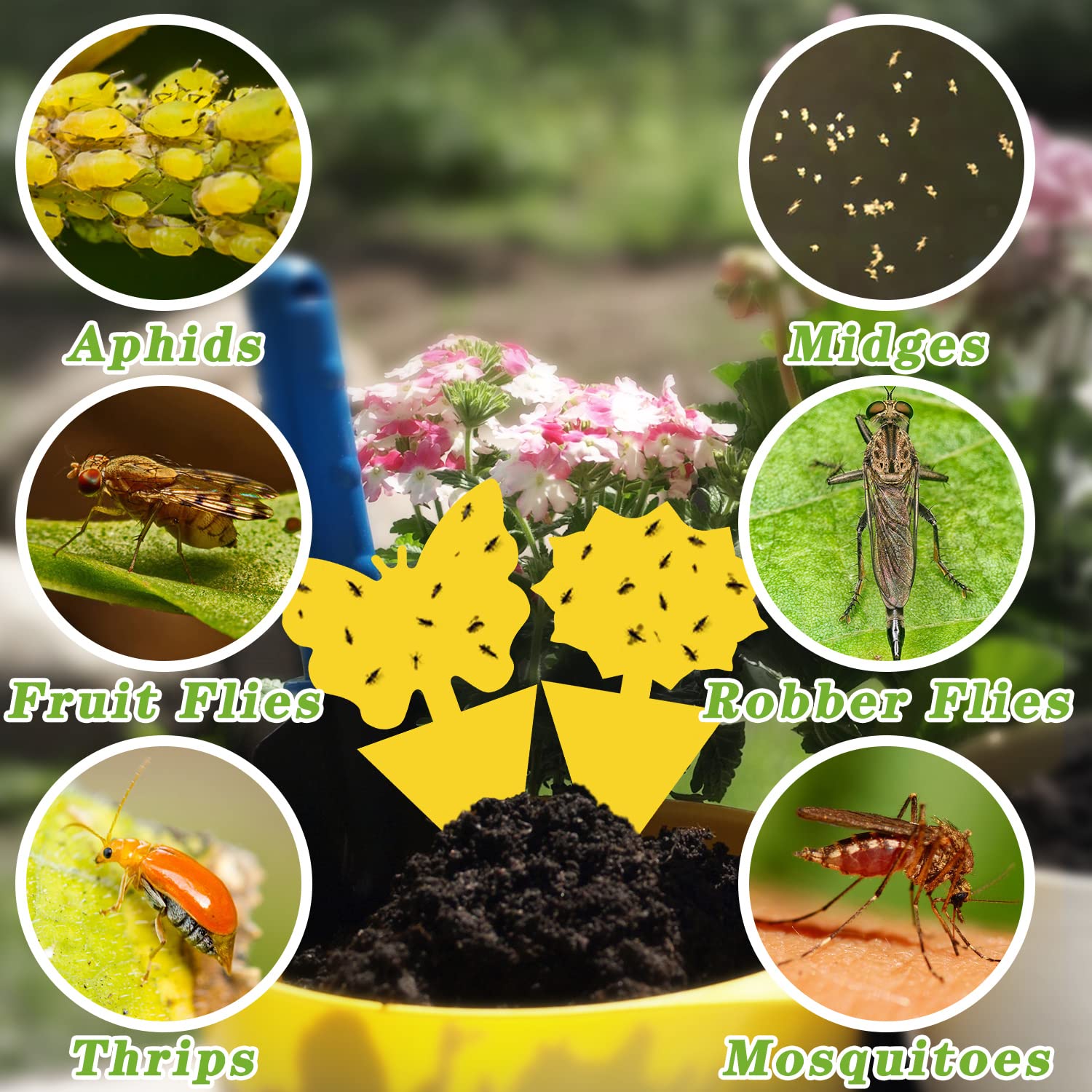 Landisun 24PCS Fruit Fly Traps Yellow Sticky Traps Fungus Gnat Traps Insect Bug Traps for Indoor Outdoor Kitchen Plants Whitefly Mosquitos Fungus Gnats Flying Insects