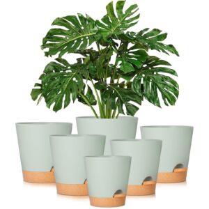 gardife plant pots 8/7/6.5/6/5.5/5 inch self watering planters with drainage hole, plastic flower pots, nursery planting pot for all house plants, african violet, flowers, and cactus,green