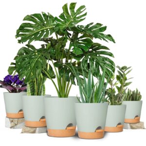 GARDIFE Plant Pots 8/7/6.5/6/5.5/5 Inch Self Watering Planters with Drainage Hole, Plastic Flower Pots, Nursery Planting Pot for All House Plants, African Violet, Flowers, and Cactus,Green