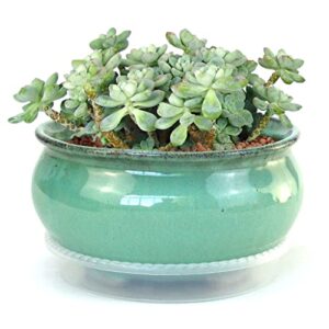 summer impressions 7 inch glazed terracotta plant pot round ceramic succulent planter pot with drainage and saucer cactus clay pot bonsai pot