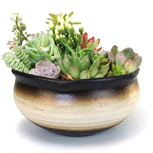 summer impressions 8 inch glazed terracotta plant pot round ceramic succulent planter pot with drainage and saucer cactus clay pot bonsai pot