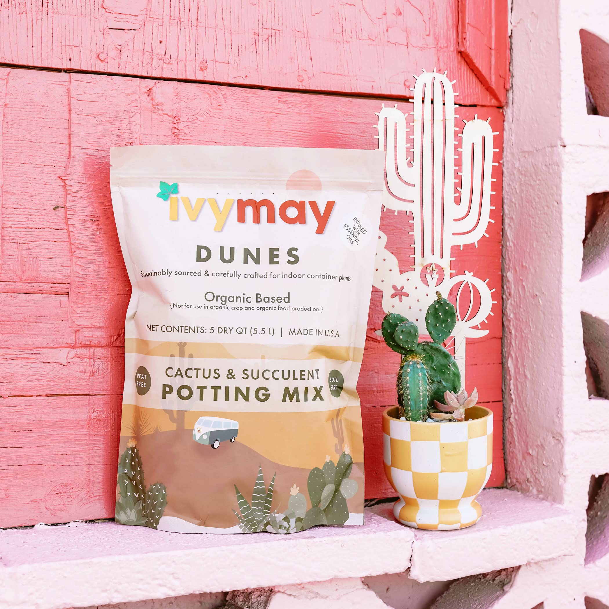 IvyMay Dunes Succulent Soil ― Organic Cactus Soil Potting Mix for Succulents, Ready to Use Potting Soil Indoor Plants with Perlite, Pumice, Earthworm Castings, Essential Oils ― 5 qt