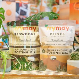 IvyMay Dunes Succulent Soil ― Organic Cactus Soil Potting Mix for Succulents, Ready to Use Potting Soil Indoor Plants with Perlite, Pumice, Earthworm Castings, Essential Oils ― 5 qt