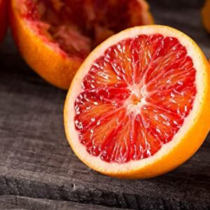 juicyodle Rare Dwarf Blood Orange Tree Plant Seeds for Planting - 30 Seeds (30, Blood Orange)