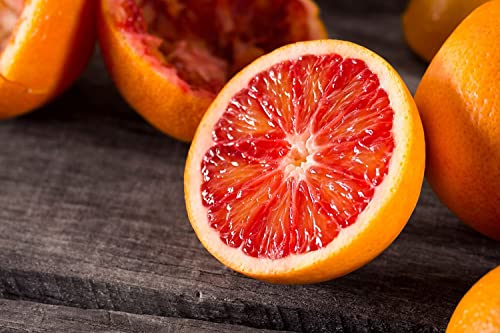 juicyodle Rare Dwarf Blood Orange Tree Plant Seeds for Planting - 30 Seeds (30, Blood Orange)