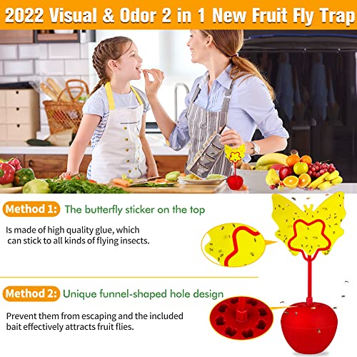 DDTnw Fruit Fly Traps for Indoors, Effective Killer with Yellow Sticky, Catcher and Gnat Trap, Safe Non-Toxic Odorless Home, Kitchen, Plant(2 Pack)