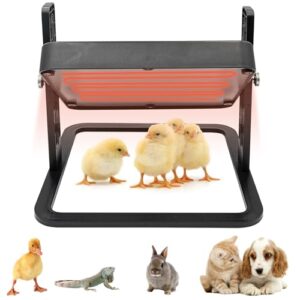 HHNIULI Chick Brooder Heater Chick Heating Plate 11 x 11 Inch Poultry Brooder Heater with Adjustable Height for Chicks and Ducklings Warms Up to 15 Chicks for Chicken Coop