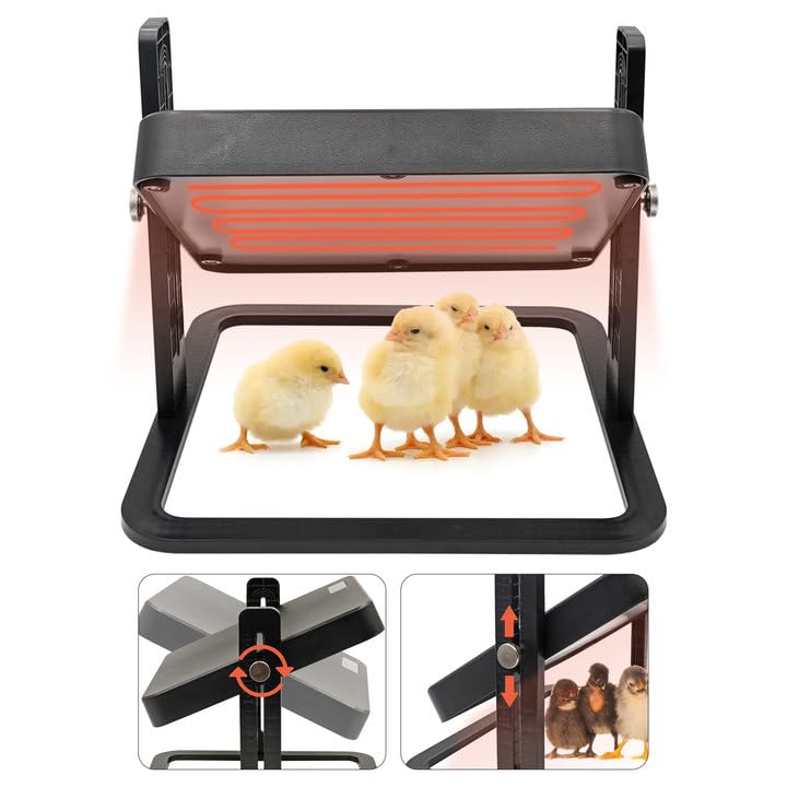 HHNIULI Chick Brooder Heater Chick Heating Plate 11 x 11 Inch Poultry Brooder Heater with Adjustable Height for Chicks and Ducklings Warms Up to 15 Chicks for Chicken Coop