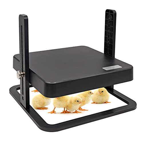 HHNIULI Chick Brooder Heater Chick Heating Plate 11 x 11 Inch Poultry Brooder Heater with Adjustable Height for Chicks and Ducklings Warms Up to 15 Chicks for Chicken Coop