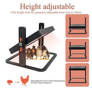 HHNIULI Chick Brooder Heater Chick Heating Plate 11 x 11 Inch Poultry Brooder Heater with Adjustable Height for Chicks and Ducklings Warms Up to 15 Chicks for Chicken Coop