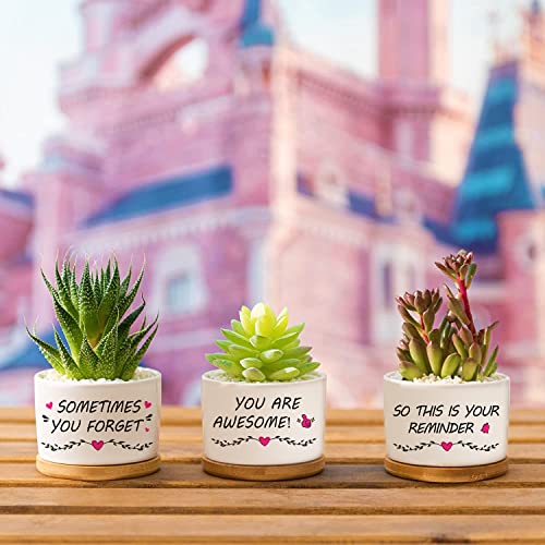 Inspirational Gifts for Women, You are Awesome, Birthday Gift for Grandma Mom Sister Friend, Garden Decor Planter Succulent Pots