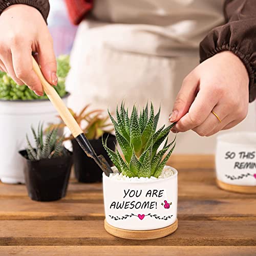 Inspirational Gifts for Women, You are Awesome, Birthday Gift for Grandma Mom Sister Friend, Garden Decor Planter Succulent Pots