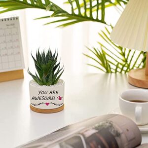 Inspirational Gifts for Women, You are Awesome, Birthday Gift for Grandma Mom Sister Friend, Garden Decor Planter Succulent Pots