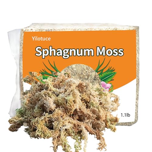 Yilotuce 1.1 lb Sphagnum Moss for Plants, Carefully Selected Clean Sphagnum Mos for Rooting Plants