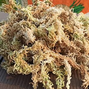 Yilotuce 1.1 lb Sphagnum Moss for Plants, Carefully Selected Clean Sphagnum Mos for Rooting Plants