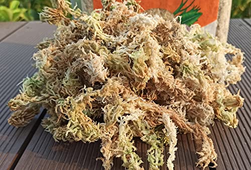 Yilotuce 1.1 lb Sphagnum Moss for Plants, Carefully Selected Clean Sphagnum Mos for Rooting Plants