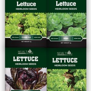 Lettuce Seeds for Planting, Red Romaine Lettuce, Bibb Butter Lettuce, Black Seeded Simpson, Green Ice Iceberg Lettuce, Non-GMO…