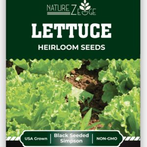 Lettuce Seeds for Planting, Red Romaine Lettuce, Bibb Butter Lettuce, Black Seeded Simpson, Green Ice Iceberg Lettuce, Non-GMO…