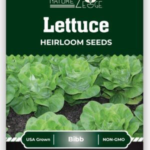 Lettuce Seeds for Planting, Red Romaine Lettuce, Bibb Butter Lettuce, Black Seeded Simpson, Green Ice Iceberg Lettuce, Non-GMO…