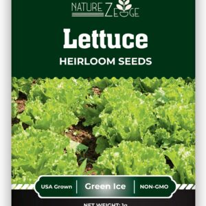 Lettuce Seeds for Planting, Red Romaine Lettuce, Bibb Butter Lettuce, Black Seeded Simpson, Green Ice Iceberg Lettuce, Non-GMO…