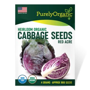 organic cabbage seeds (red acre) - approx 750 seeds - certified organic, non-gmo, open pollinated, heirloom, usa origin